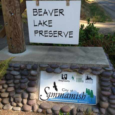 Photo of Beaver Lake Preserve in Sammamish