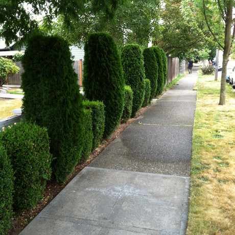 Photo of FAUNTLEROY WAY SW & SW JUNEAU ST in Fairmount Park, Seattle