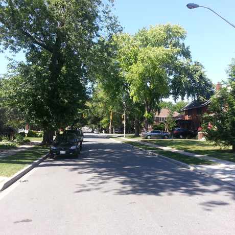 Photo of Downtown Windsor Business in Windsor