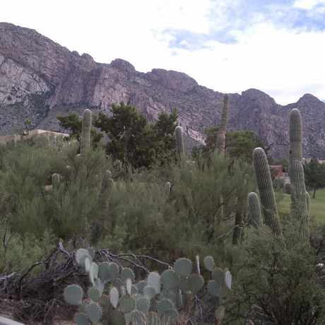 Photo of Oro Valley in Oro Valley