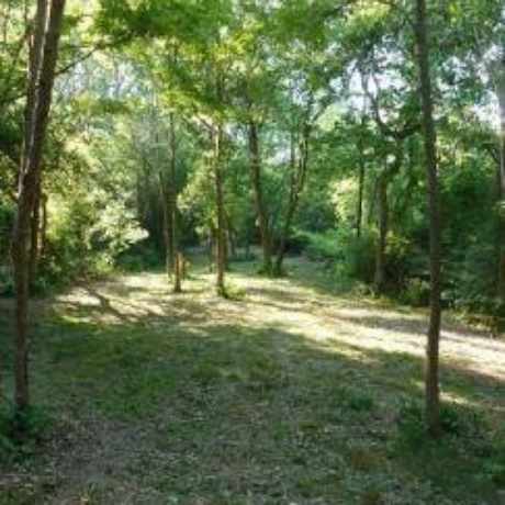 Photo of Waterworks Disc Golf Course in Ypsilanti
