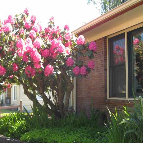 Photo of 507 - 17th Ave SE Furnished Duplex Home in Olympia