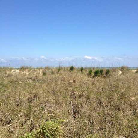 Photo of Condo in Miami Beach