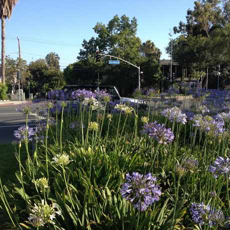 Photo of Santa Monica/Croft in West Hollywood