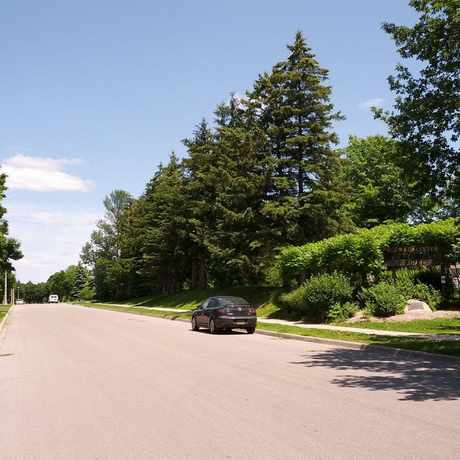 Photo of Hands Dr in Guelph