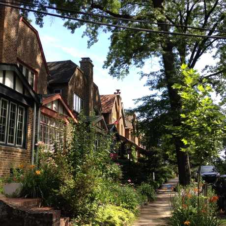 Photo of Carpenter Woods in Philadelphia