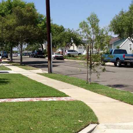Photo of #Madrona Neighborhood Street view in Torrance