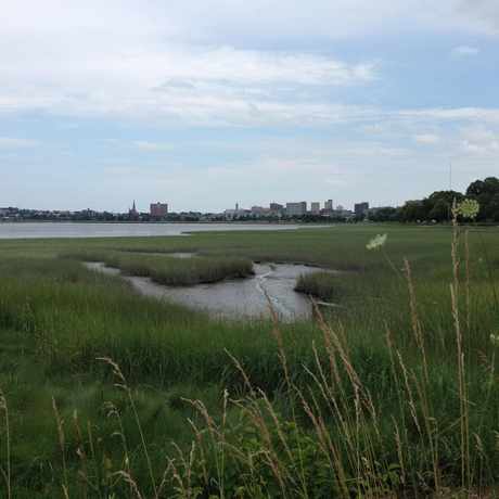 Photo of Baxter Blvd Marshes in Portland