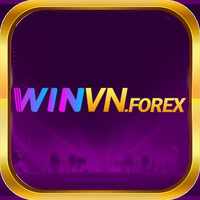 WINVN – Nền Tảng Cá Cược