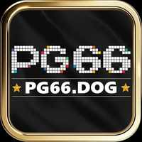 pg66dog