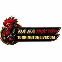 torringtonlivecom