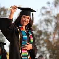 Study Online Programs