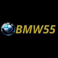 bmw55phnet
