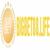 Bigbet88life