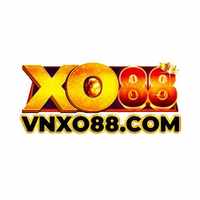 vnxo88com
