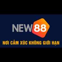 fnew88tin