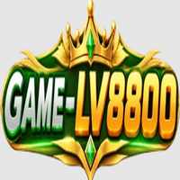 LV8800 Game