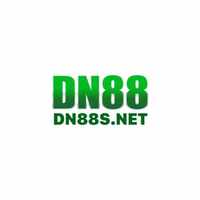 dn88819 vip