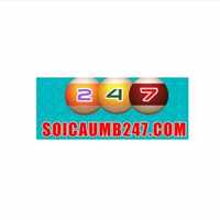 Soi cầu 247
