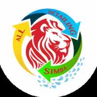All Detailing Simba
