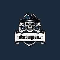 haitacbongdemvn