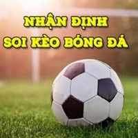 nhandinhbongda24hxyz