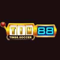 Tin88 – Nhà cái cá cược 