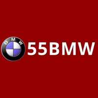 55bmworgphtop