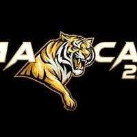 MACAN238 Slot Gacor Terpercaya
