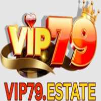CEO Vip79 Michael Lê