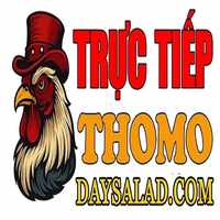 ĐÁ GÀ TRỰC TIẾP DAYSALAD