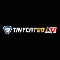 tinycat99life
