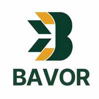 BAVORCONSULTING