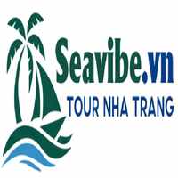 SeVibe Tours
