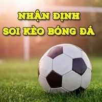 nhandinhbongda247online